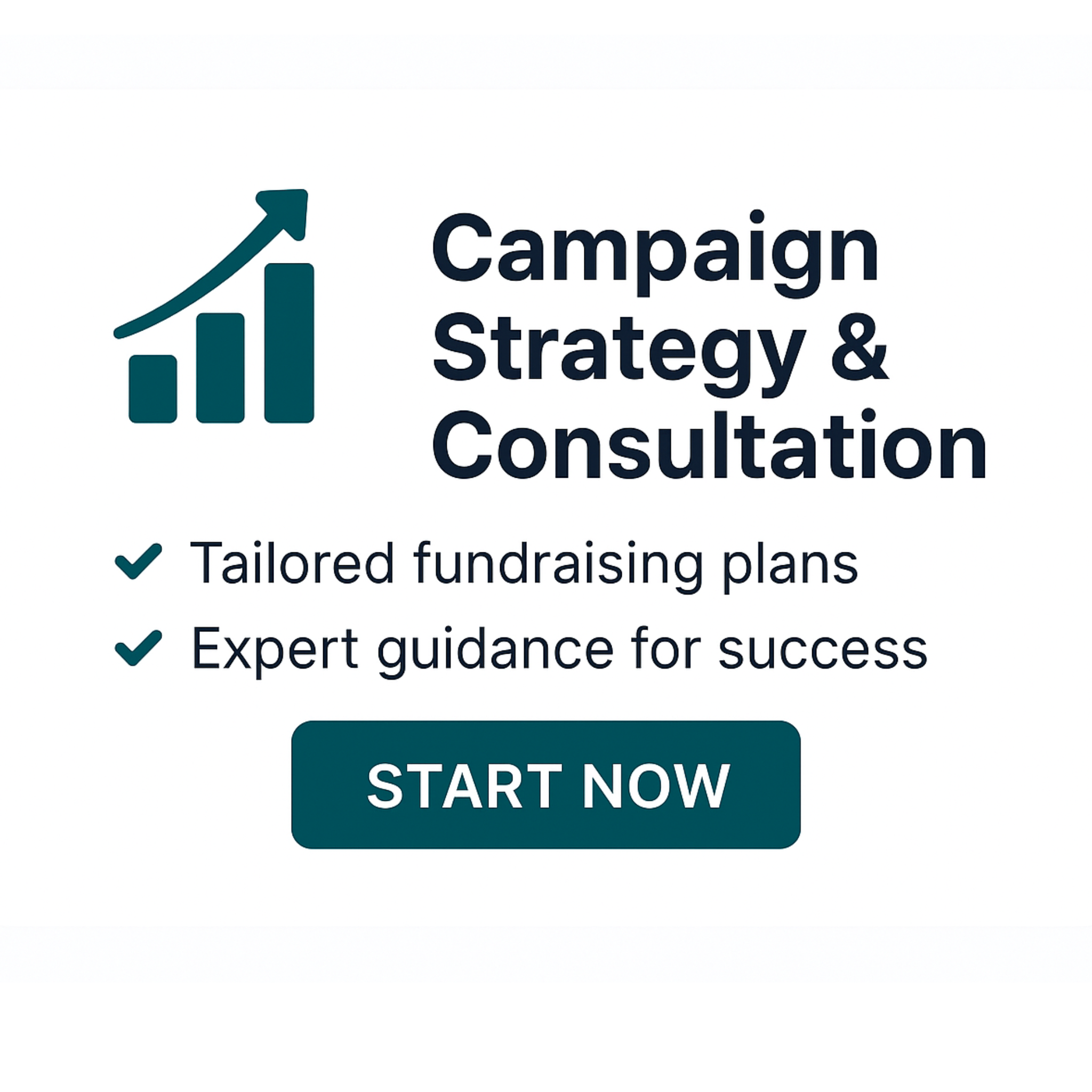 Campaign Strategy & Consultation